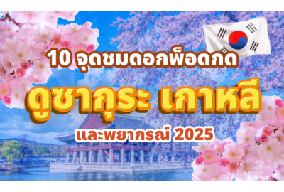 10 จุดชมดอกพ็อดกด ดูซากุระ เกาหลี และพยากรณ์ 2025