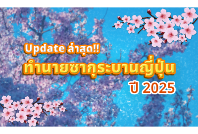 Update ล่าสุด!! ทำนายซากุระบานญี่ปุ่น ปี 2025