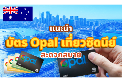 แนะนำบัตร Opal เที่ยวซิดนีย์สะดวกสบาย ต้องมีไหม