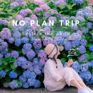 No Plan Trip 