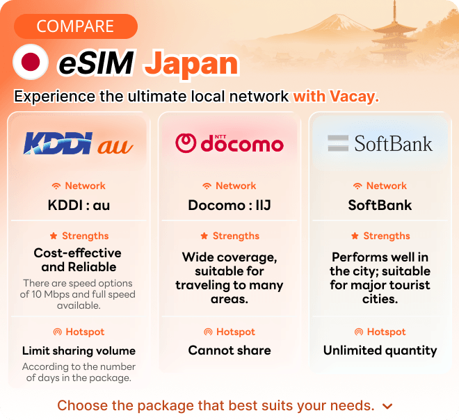 Local eSIM: Experience the local network with Vacay