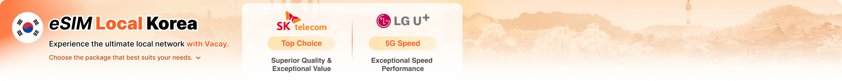 Local eSIM: Experience the local network with Vacay