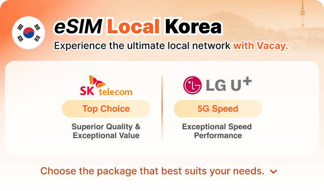 Local eSIM: Experience the local network with Vacay
